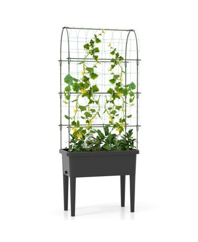 GIVIMO Self-watering Raised Garden Bed Elevated Planter with Climbing Trellis