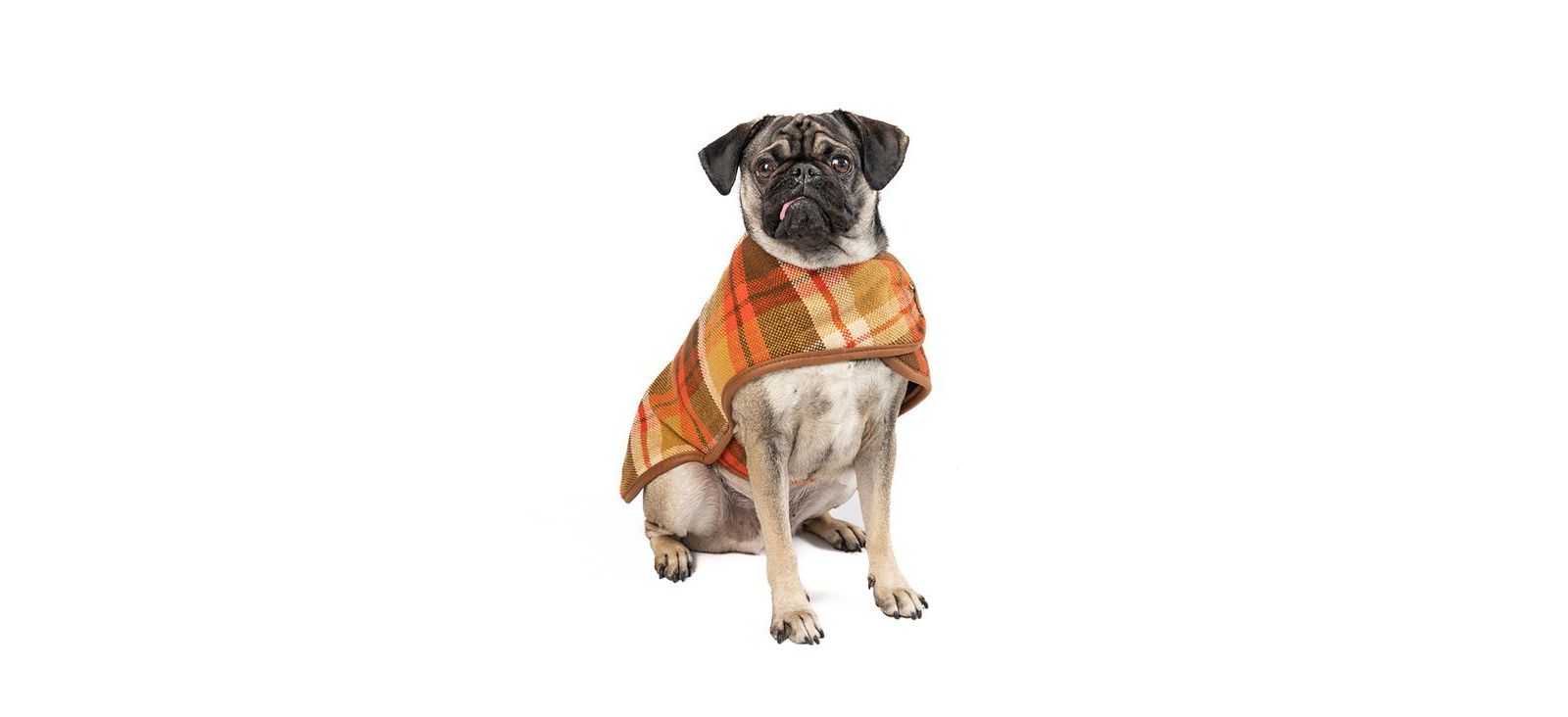 Chilly Dog M Rust Plaid Coat