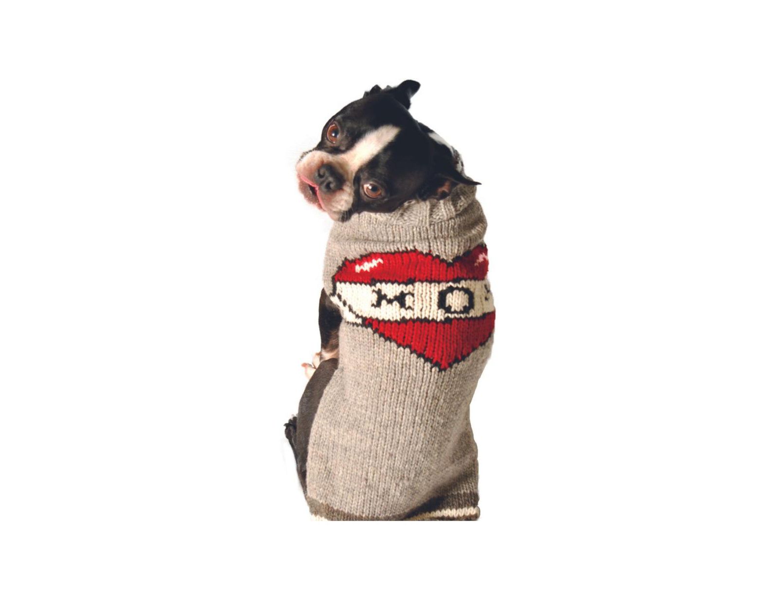 Chilly Dog S TATTOOED MOM