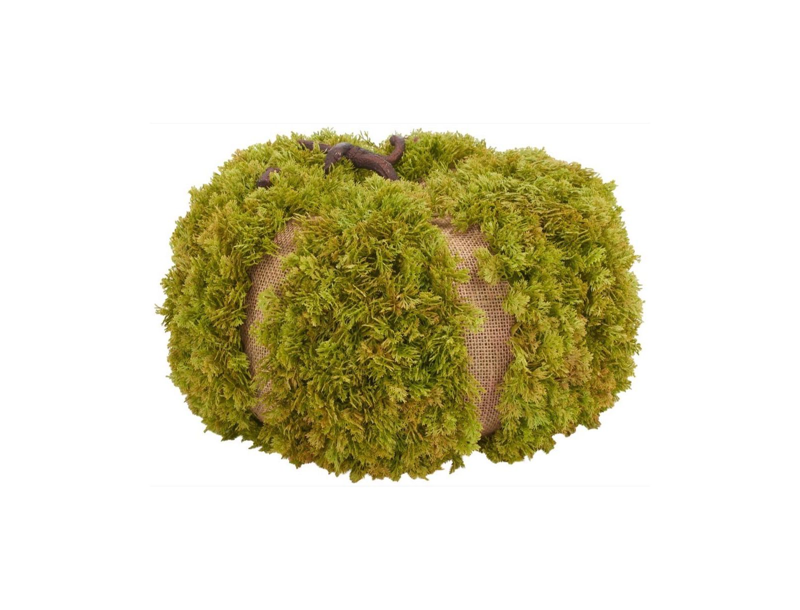Safavieh Faux 15 Inch Moss Pumpkin декор Safavieh