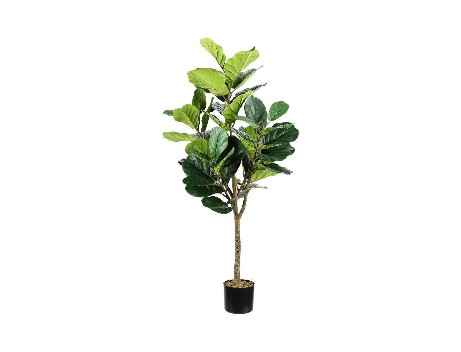 Safavieh Faux Multi Branch Fiddle Leaf Fig 72" Potted Tree