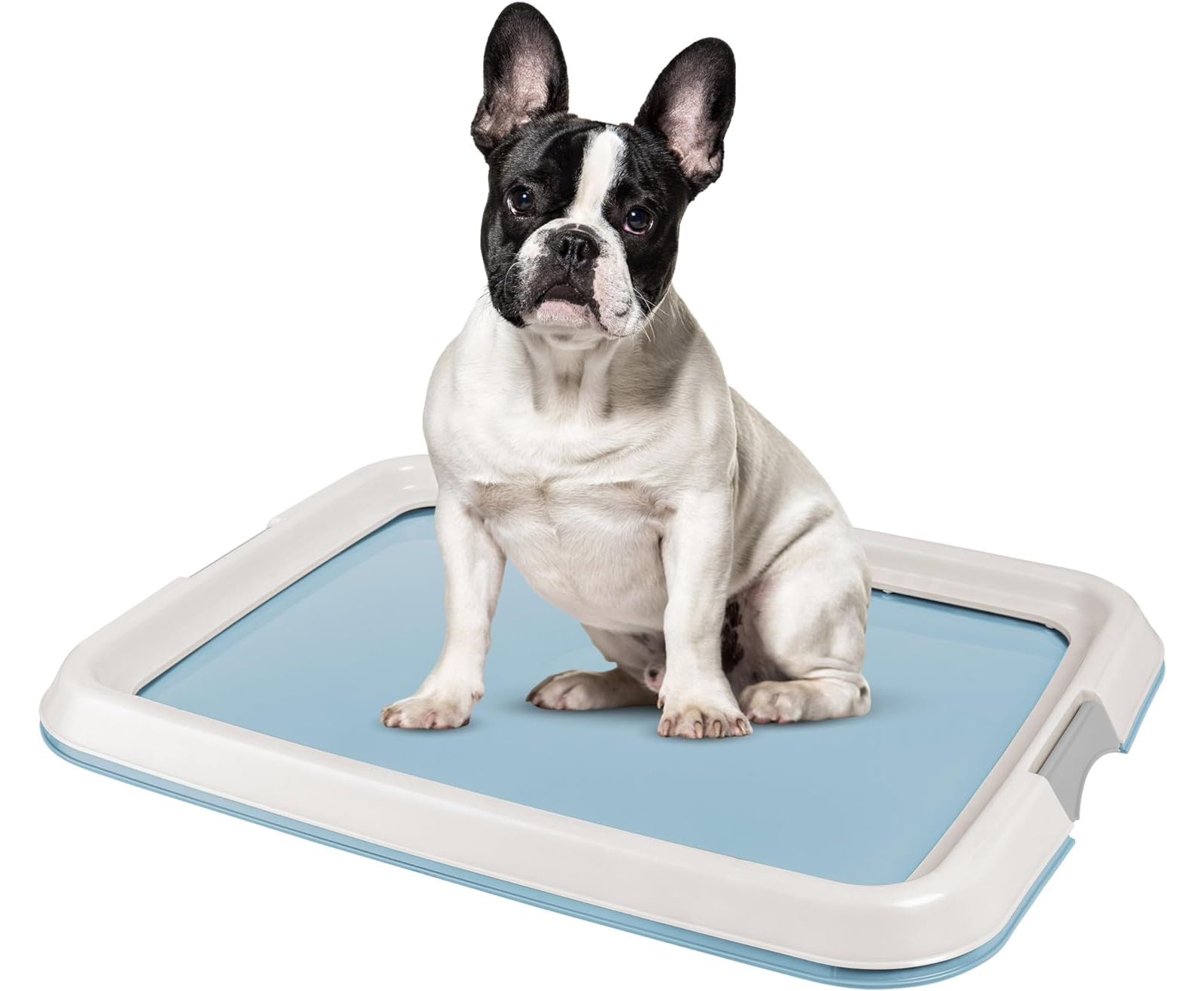 IRIS USA Pee Pad Holder, Fits 17"x24" or Larger, Medium, Puppy Dog Pad Hoder, Non-Skid Rubber Feet, High Polish Finish for Easy Cleaning