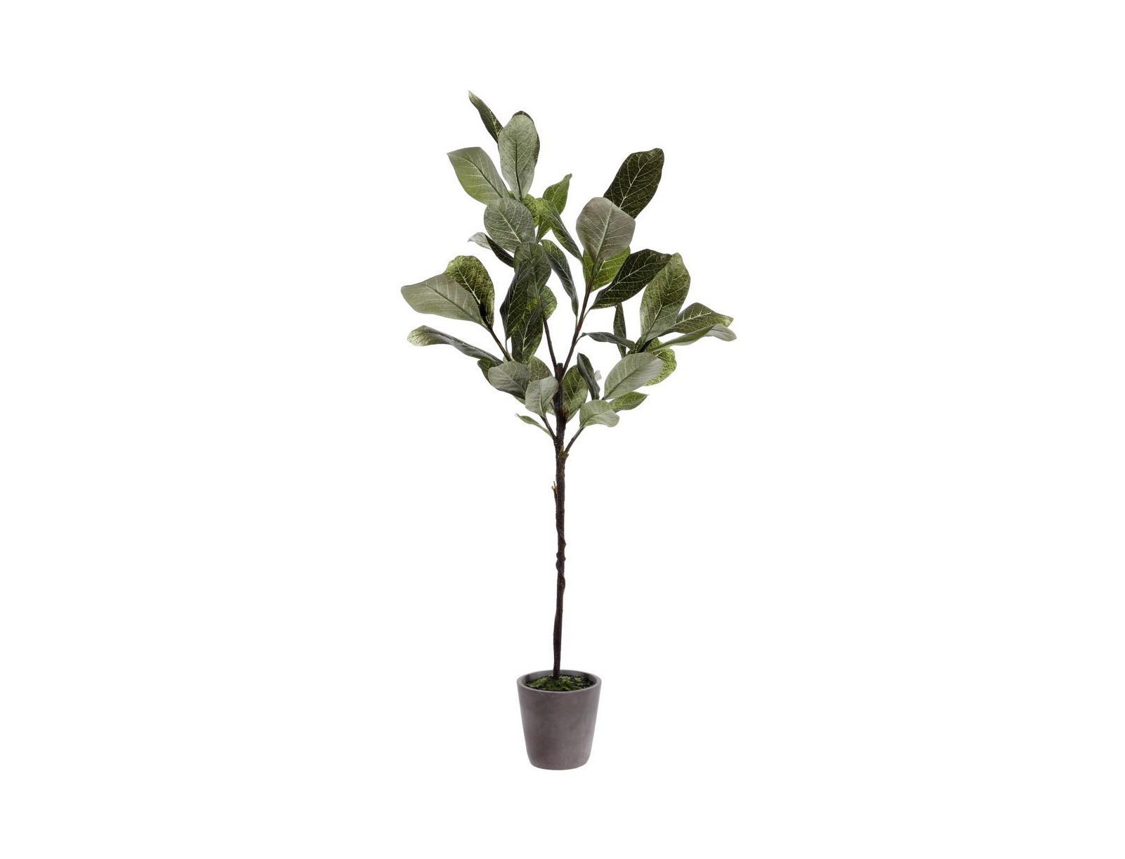 Faux Magnolia Potted Tree