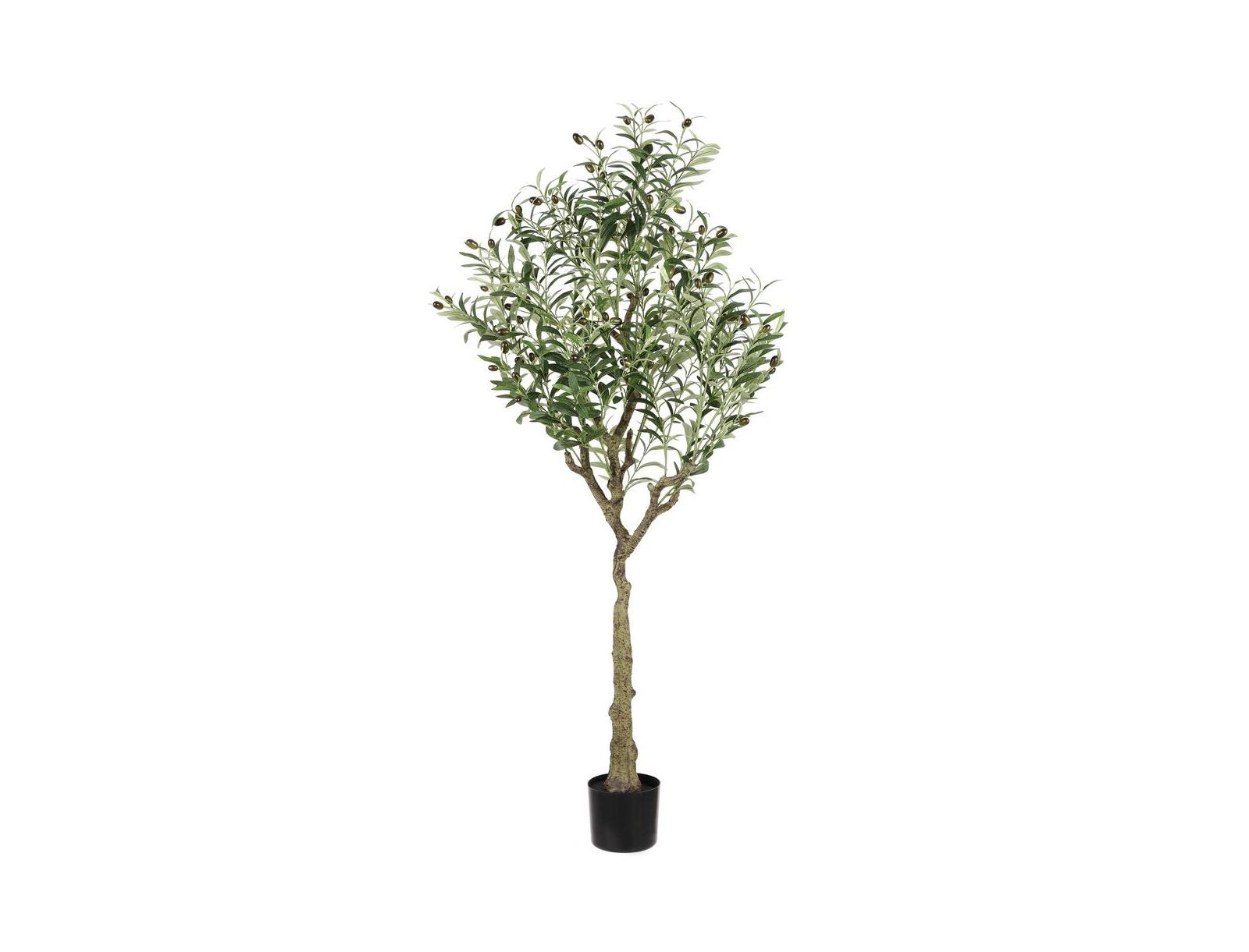 Safavieh Faux Olive 60" Potted Tree