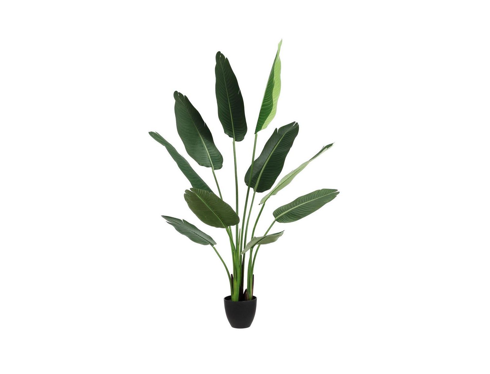 Искусственные листья Safavieh Faux Banana 63" Potted Leaves