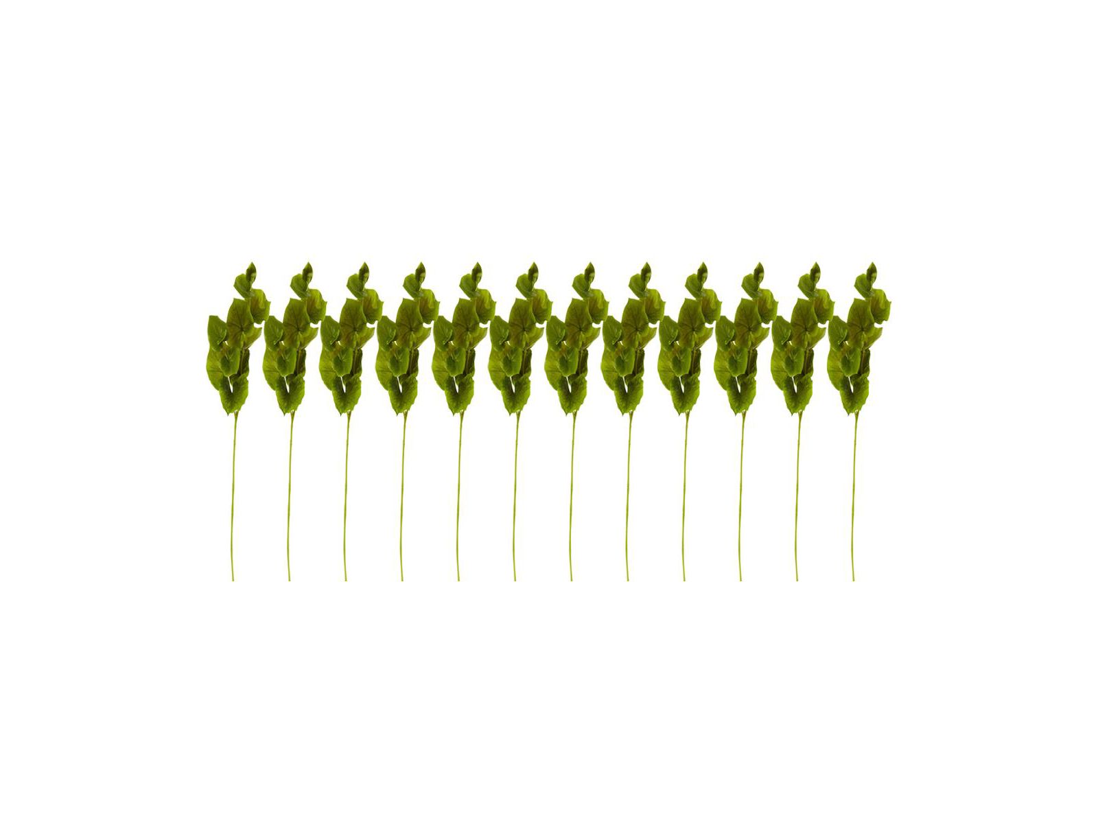 Lotus Artificial Leaf for Elegant Decor (Set of 12)