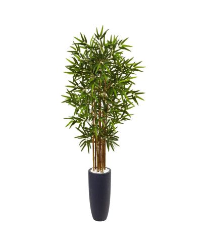 Slickblue декоративное растение Cane Tree в цилиндрическом кашпо