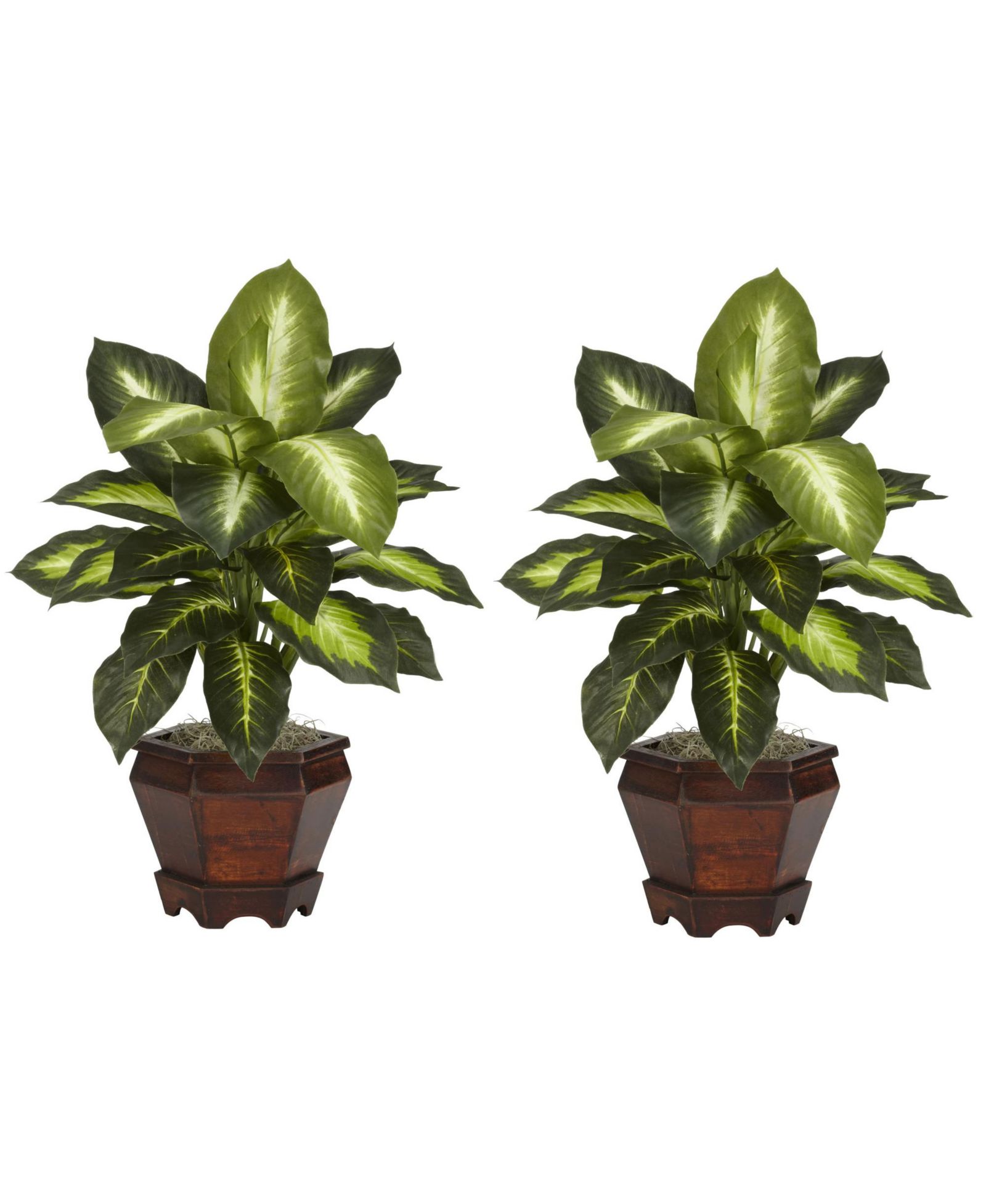 Slickblue Silk Golden Dieffenbachia Plant в деревянной вазе (Set of 2)