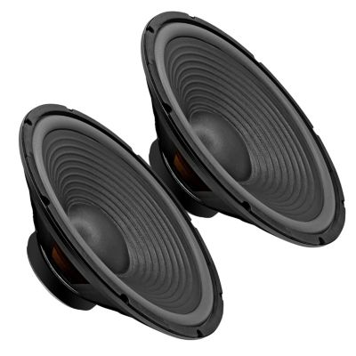 5 Core 450W 4 Ohm 15" Car Audio Subwoofers, 2-Piece Set