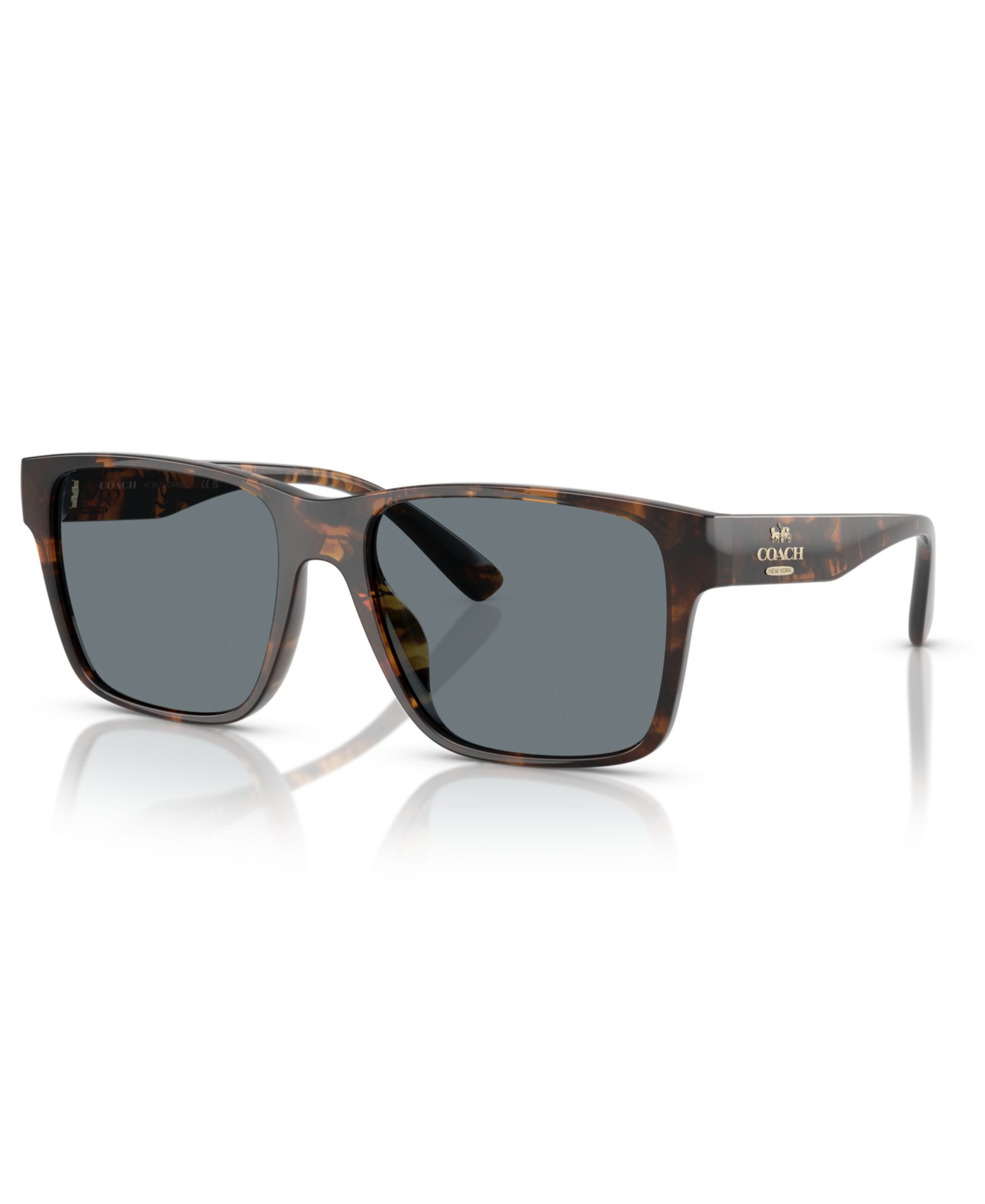 Coach Men's Sunglasses, CW425 HC8417U