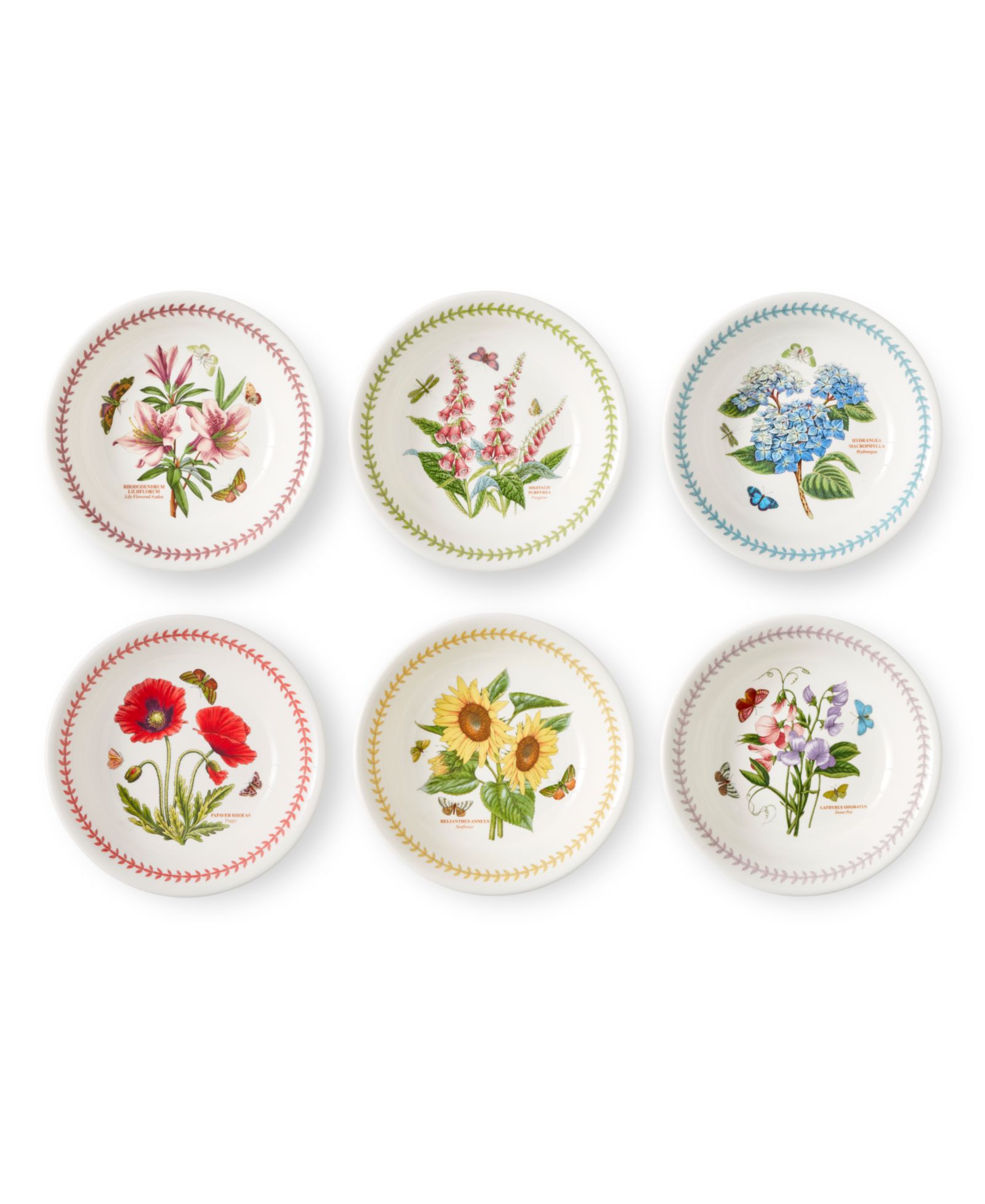 Portmeirion Botanic Garden Meadow Assorted Pasta Bowls, Set of 6