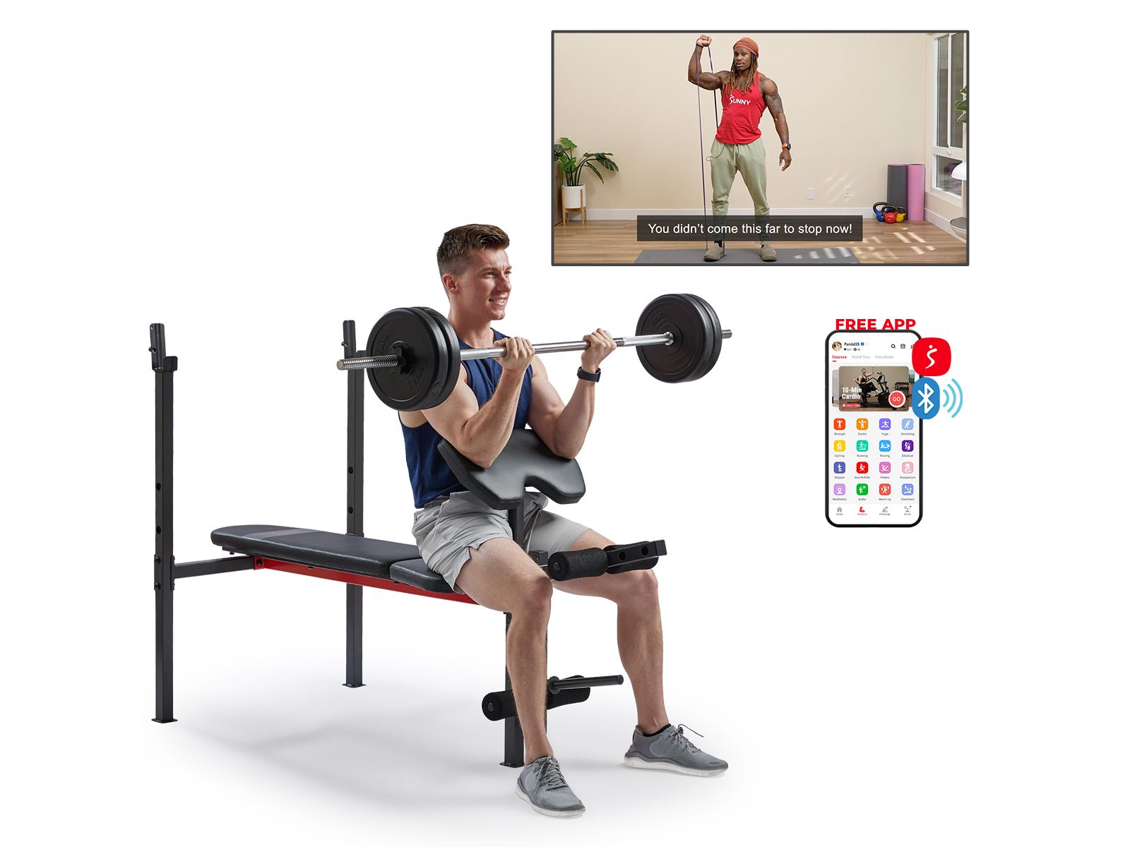 Sunny Health & Fitness Adjustable Standard Incline Weight Bench with Leg Developer and Preacher Curl Attachment, Up to 630LBs Support