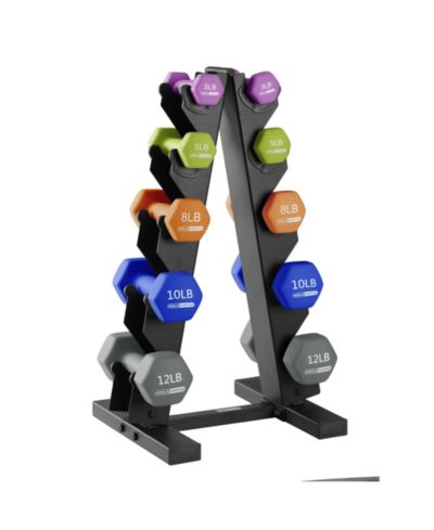 Набор гантелей HolaHatha Dumbbell Hand Weights и стойка для домашней тренировки 76 Lbs Multicolor