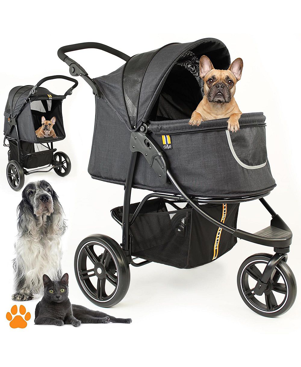 My Duque (Cooper) Pet 3-Wheeler