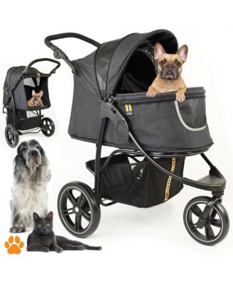 My Duque (Cooper) Pet 3-Wheeler
