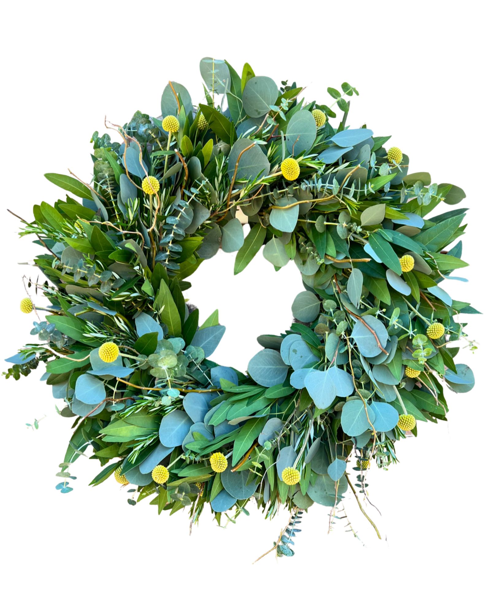 Ароматическое венок GreenishBlu Bayleaf, Baby Blue Eucalyptus, Rosemary, Curly Willow and Yellow Billy Balls, 22"