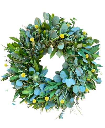 Ароматическое венок GreenishBlu Bayleaf, Baby Blue Eucalyptus, Rosemary, Curly Willow and Yellow Billy Balls, 22"