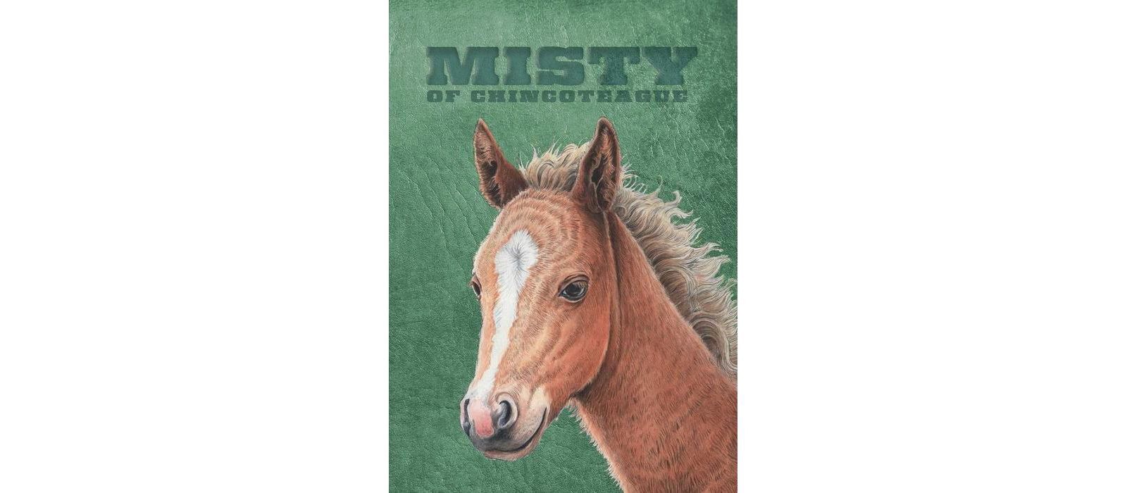 Barnes & Noble Misty of Chincoteague: Special Edition Marguerite Henry книга