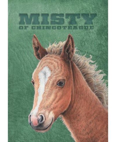 Barnes & Noble Misty of Chincoteague: Special Edition Marguerite Henry книга