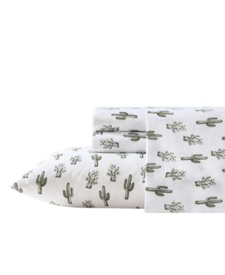 Cacti Green