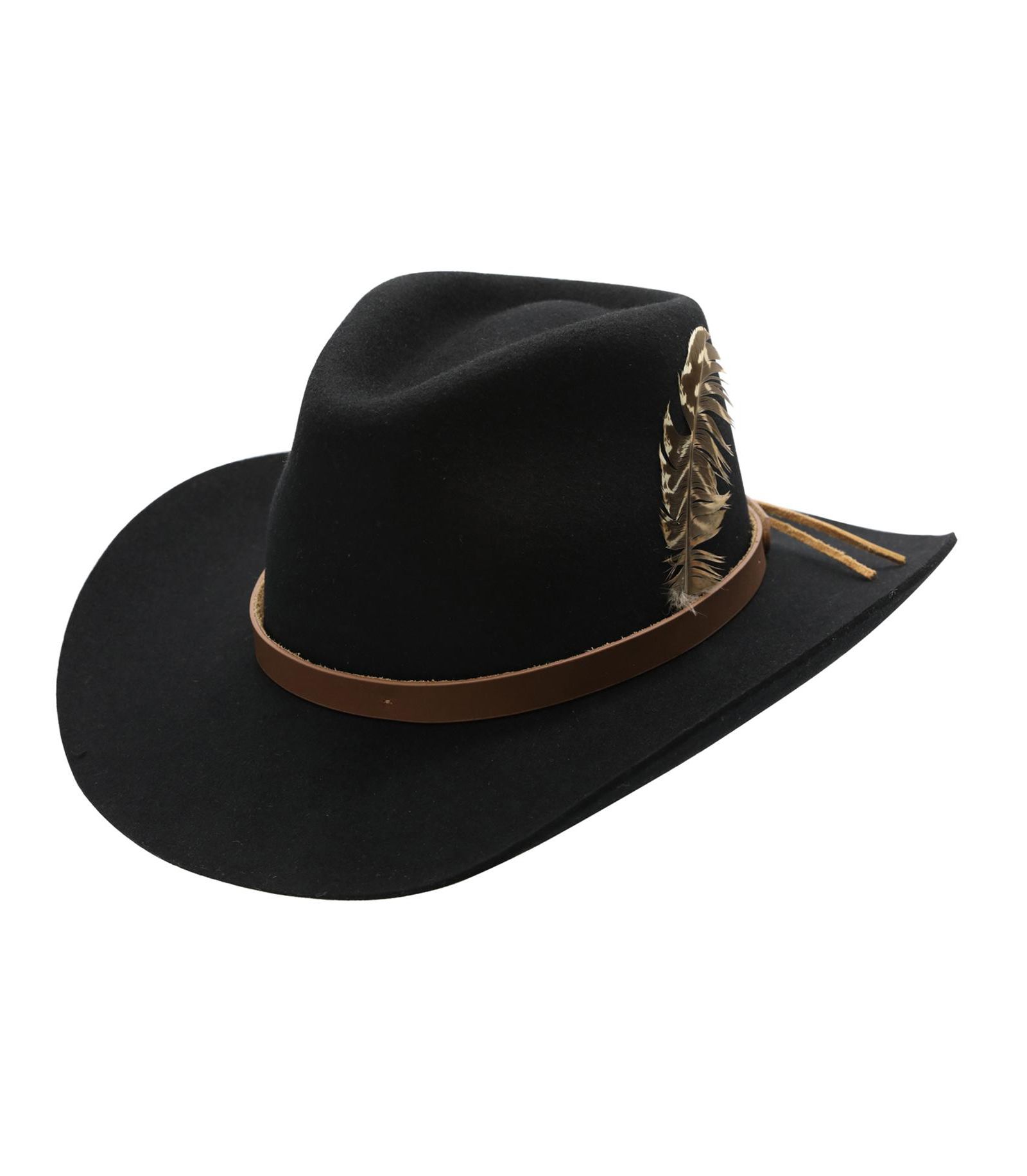 Peter Grimm Abner Wool Felt Feathered Hat