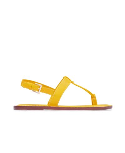 Sunrise yellow