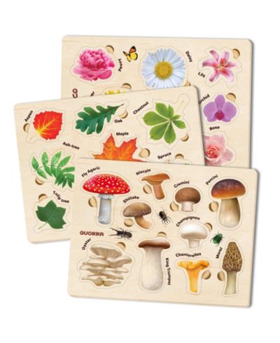 Mushrooms flowers leaves