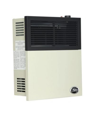 Ashley Hearth Products 11,000 BTU Direct Vent Liquid Propane Wall Mount Heater