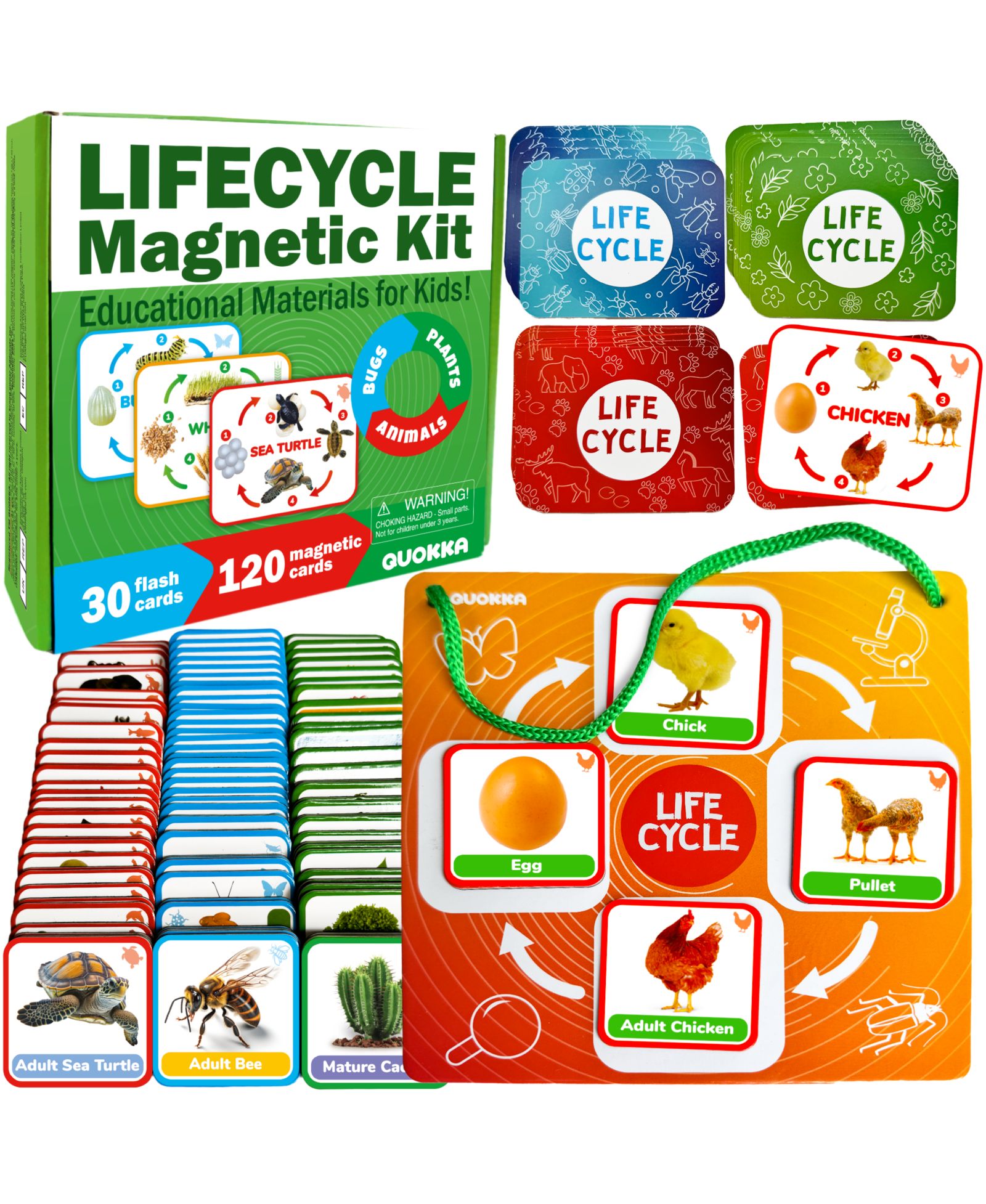 Развивающий набор Quokka Life Cycle Montessori - карточки для научных занятий