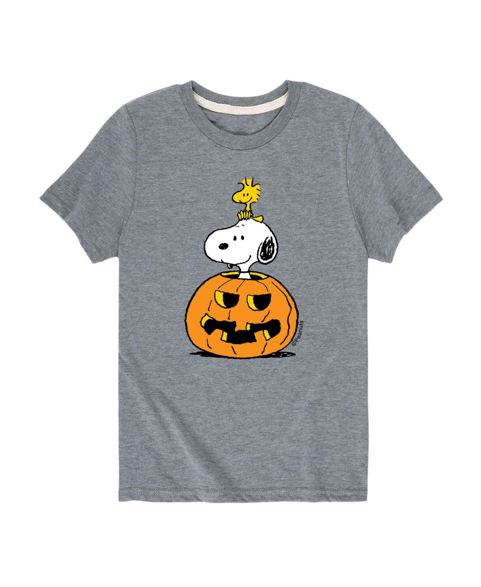 Детская футболка Peanuts Big Boys Snoopy Pumpkin Graphic Tee