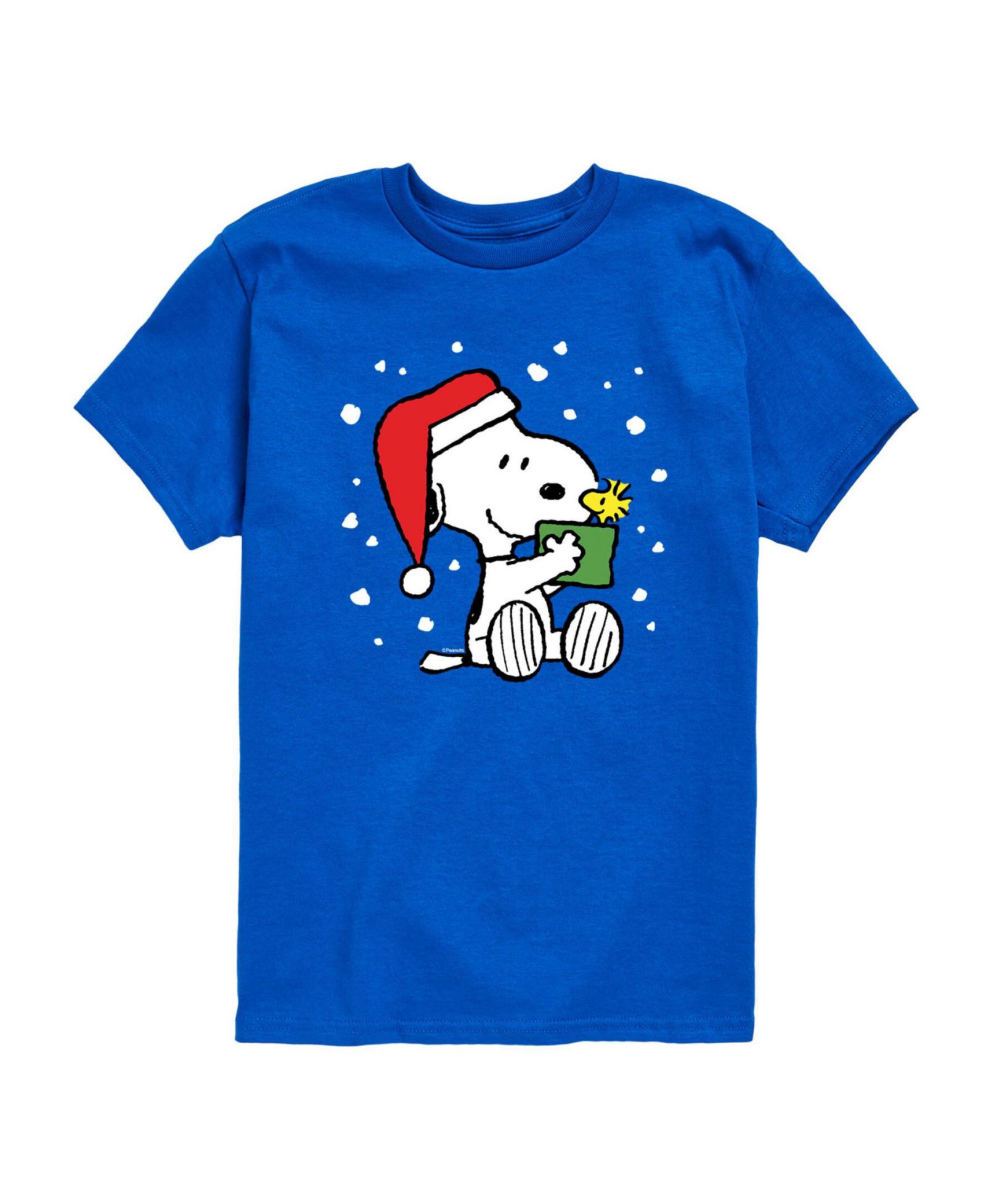 Футболка Peanuts Snoopy Present Graphic для мальчиков