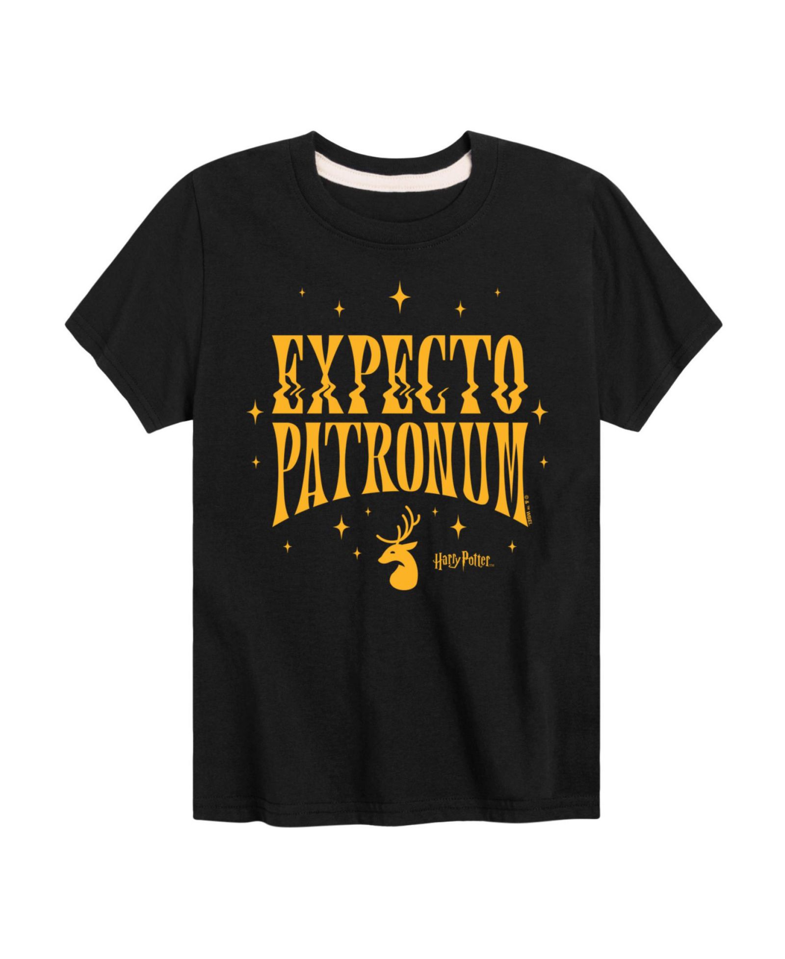 Harry Potter Big Boys Harry Potter Expecto Patronum Graphic Tee