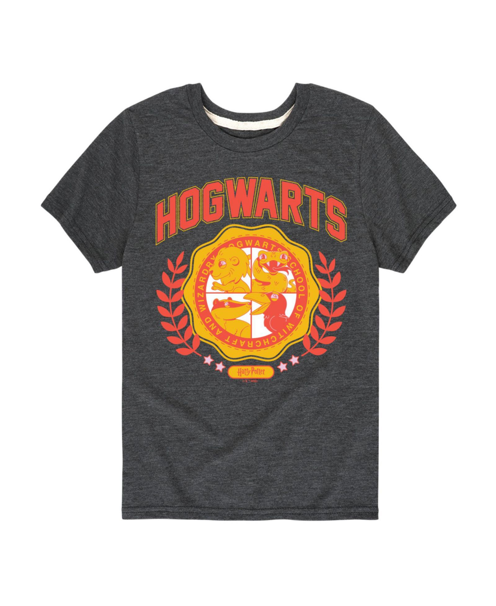Harry Potter Детская футболка с графикой Hogwarts