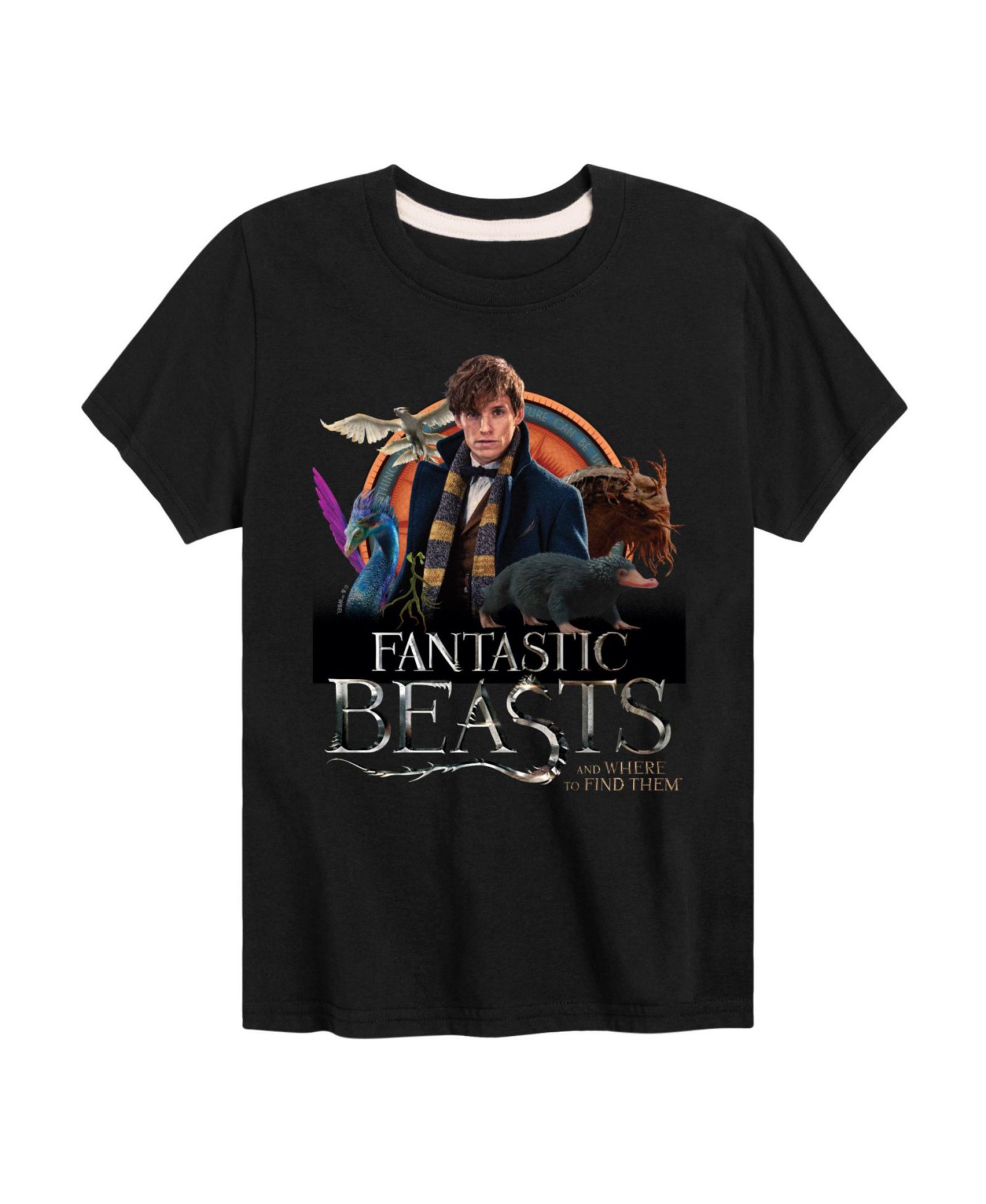 Harry Potter футболка Harry Potter Fantastic Beasts для мальчиков