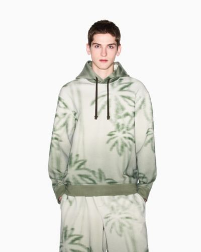 Мужское худи A|X Armani Exchange с принтом пальм и длинным рукавом