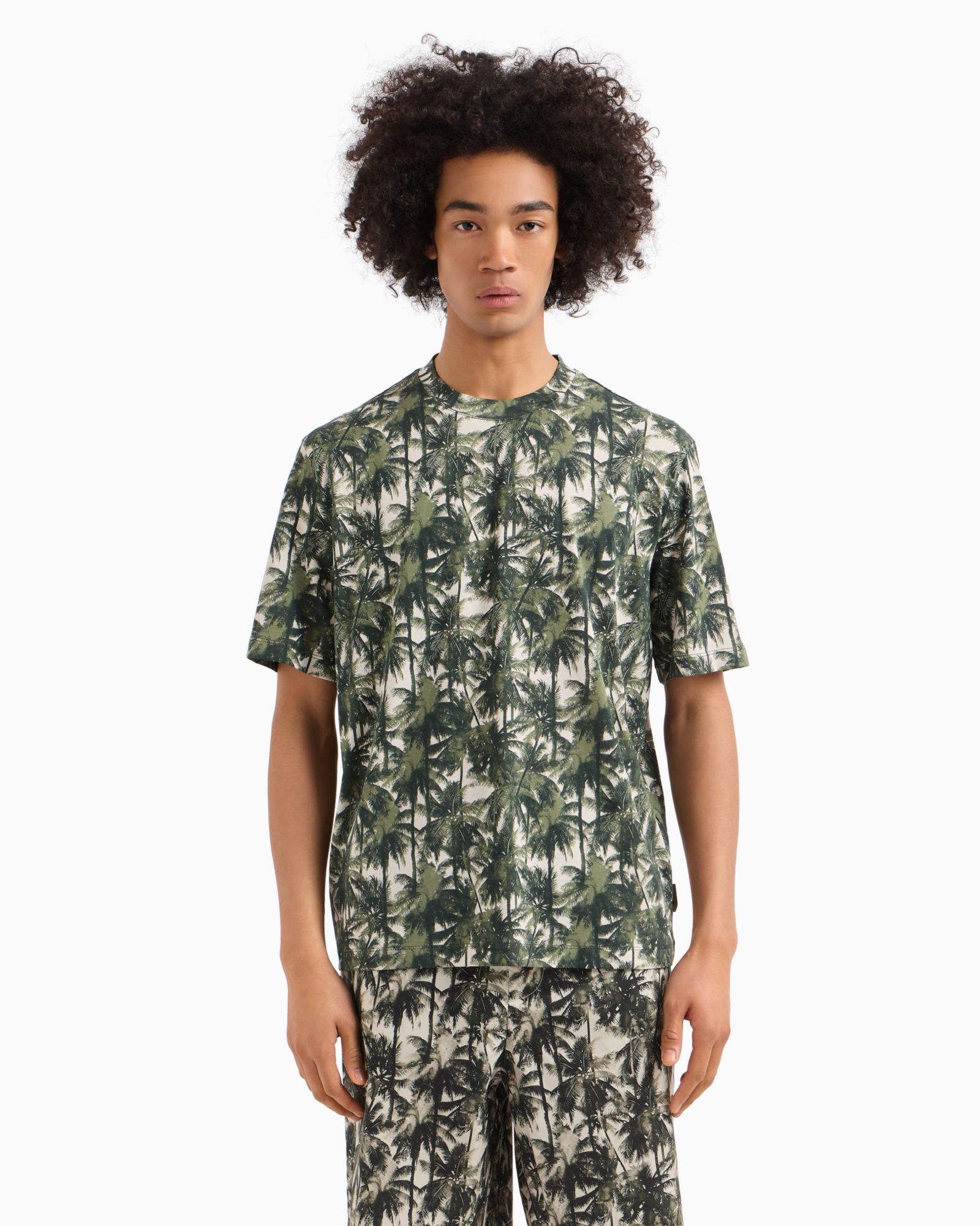A|X Armani Exchange Мужская футболка с принтом Palm-Print