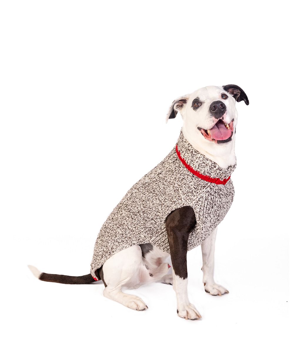 Chilly Dog Large Oatmeal Cable