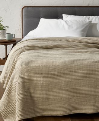 Fennel Beige