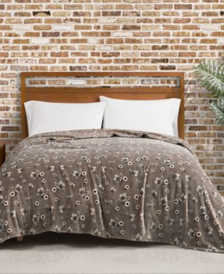Lucky Brand Daisy Floral Cozy Plush Blanket, Twin