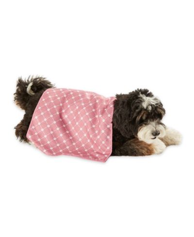 Bone Dry Microfiber Trellis Printed Pet Towel 3 Piece Set