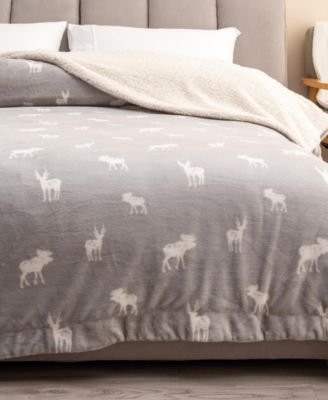 Grey moose