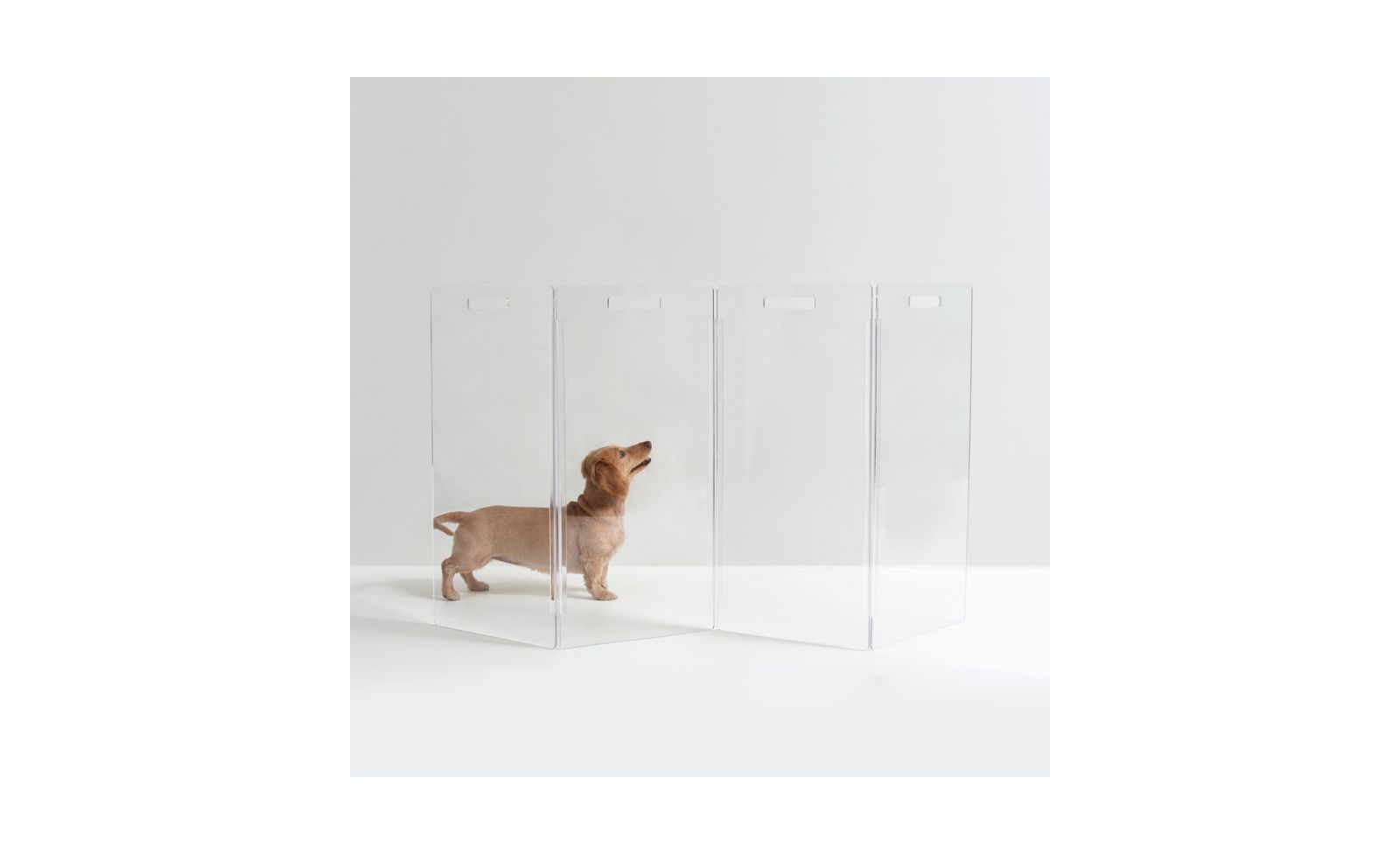 Защитный калитка для животных Hiddin Clear Freestanding Zig Zag