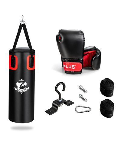 56 Lbs Filled Punching Bag Set with Boxing Gloves