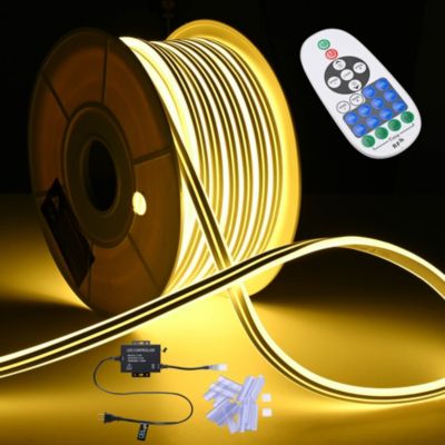 DELight Outdoor Waterproof 100 Feet LED Neon Rope Light AC 110-120V 2700K Warm White DSL001