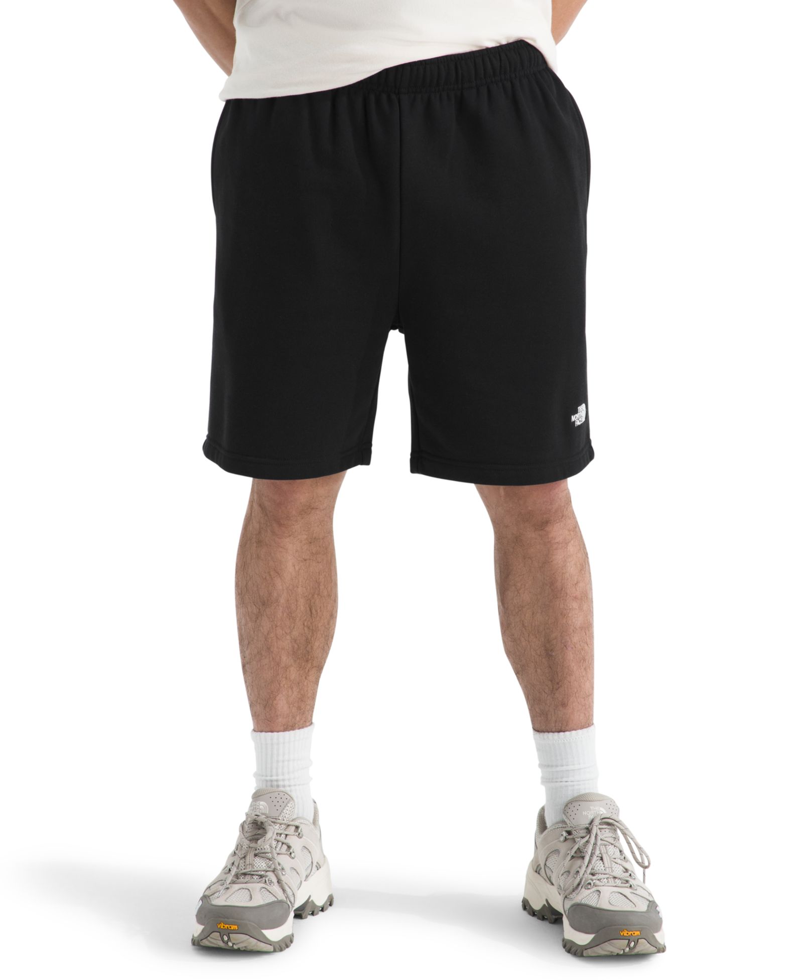 Мужские шорты The North Face Evolution Simple Dome