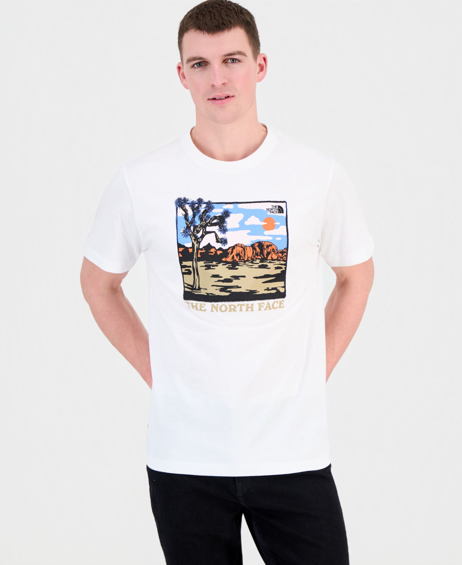 The North Face Men's Evolution Desert Graphic Short-Sleeve T-Shirt