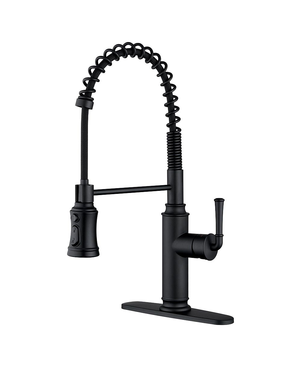 Boyel Living Kitchen Faucet with Pull Down Sprayer, with 360°Rotation Spout and 3-Function Nozzle for Use in Various Kitchen Styles