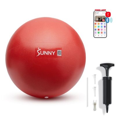 Sunny Health & Fitness Premium 9" Mini Exercise Ball, Extra Thick Anti-Burst PVC, Non-Slip & Odorless