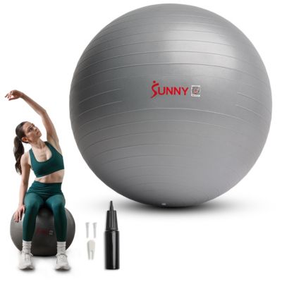 Sunny Health & Fitness Premium Yoga Ball Small 55CM Anti-Burst Exercise Ball with Pump