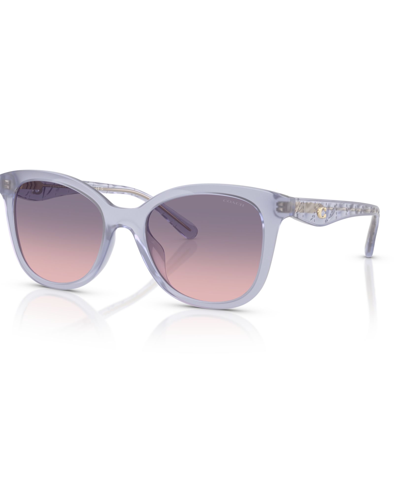 Coach Women's Large Sunglasses, CAD25 HC8419U